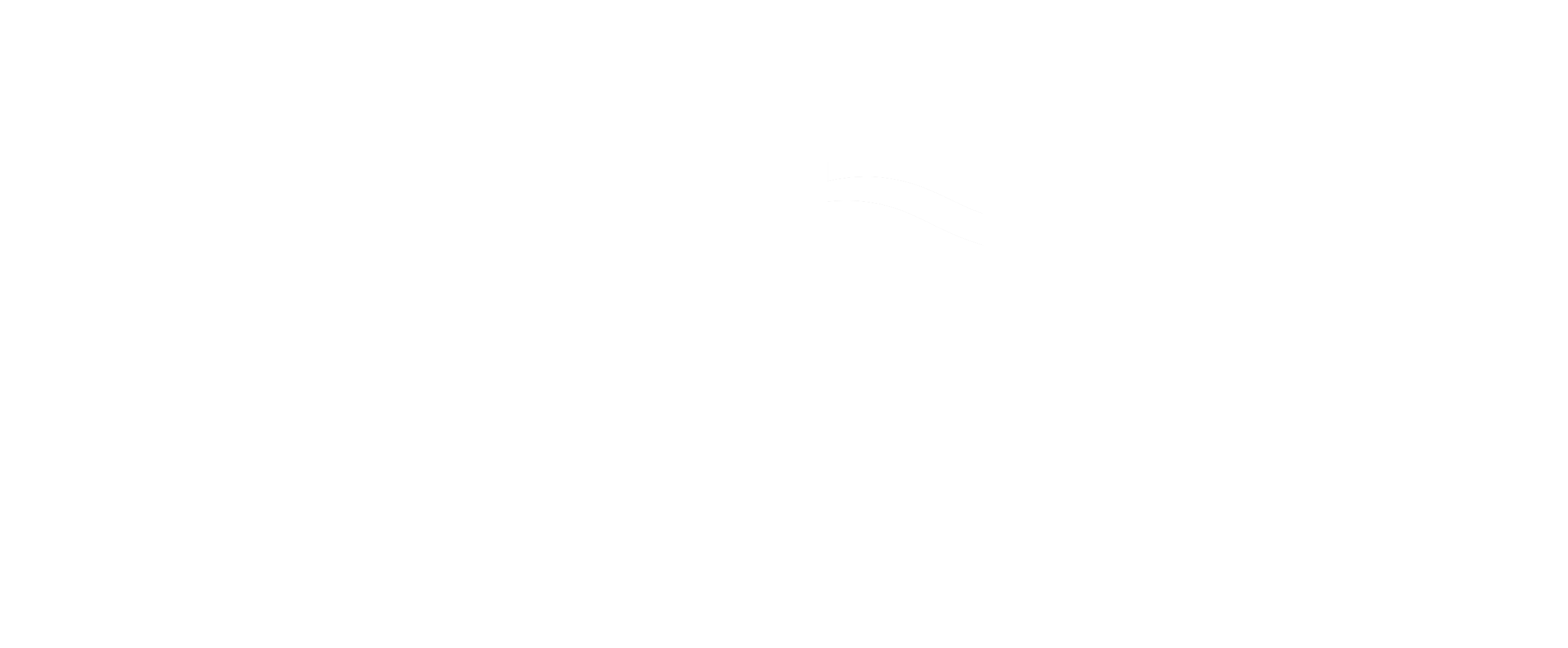 mediation hoyer logo white
